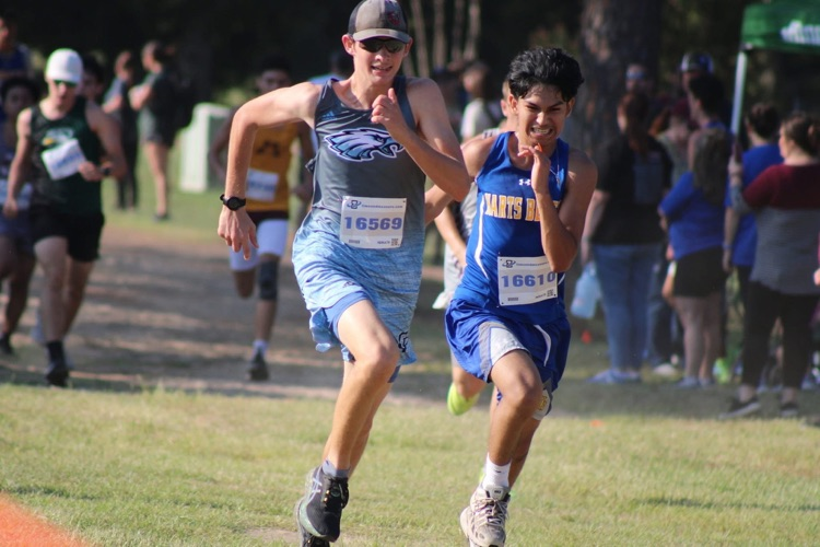xcXC