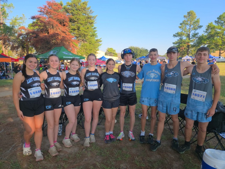 xcXC