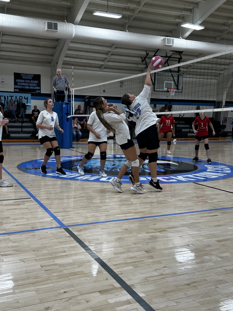 vb
