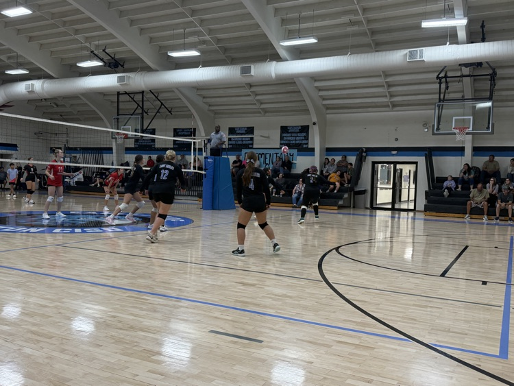 vb