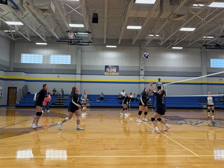 VB