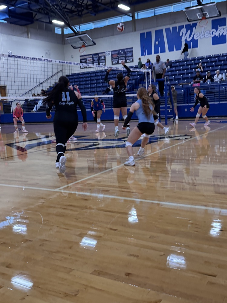 VB