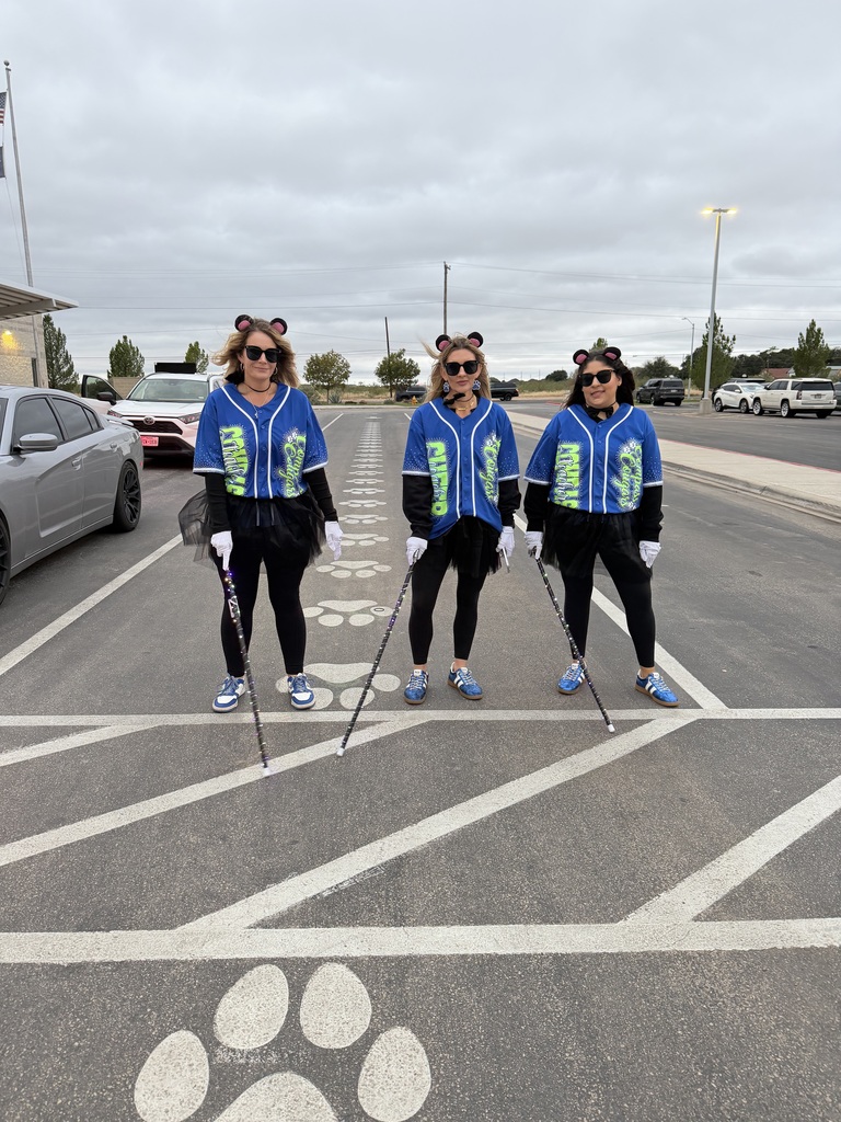 3 blind mice in the crosswalk