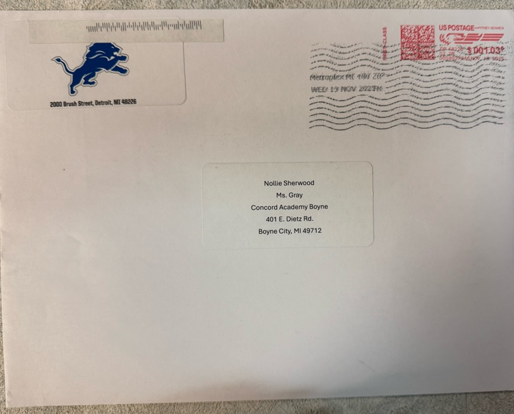 lions mail