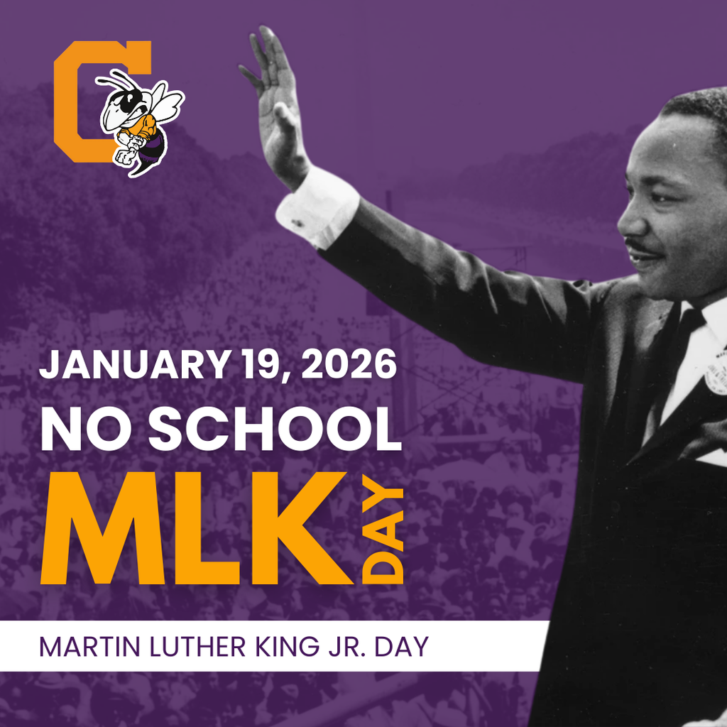 MLK No School