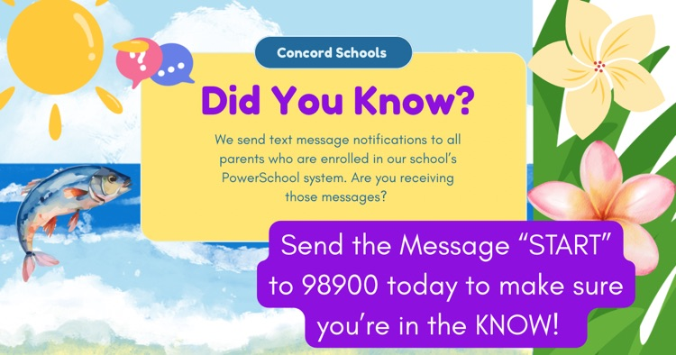 text