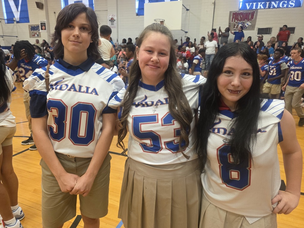Meet the Vikings