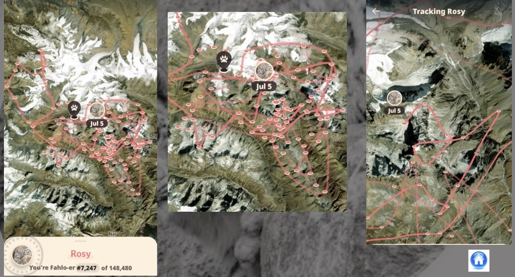 Image of Rosy’s travel