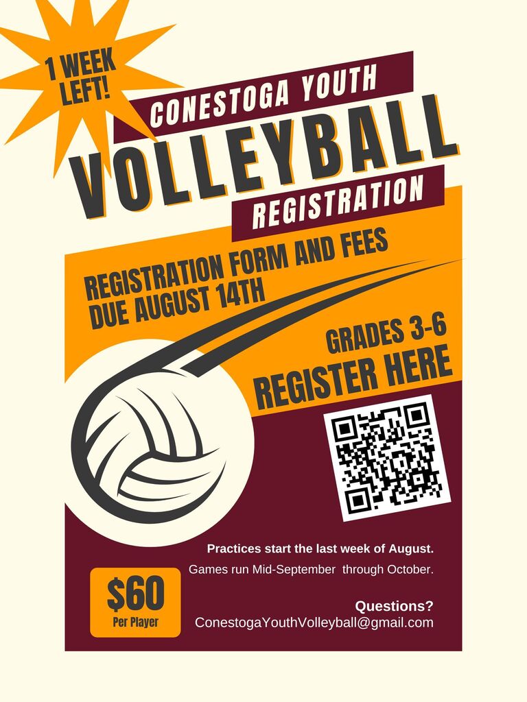 Youth volleyball flyer