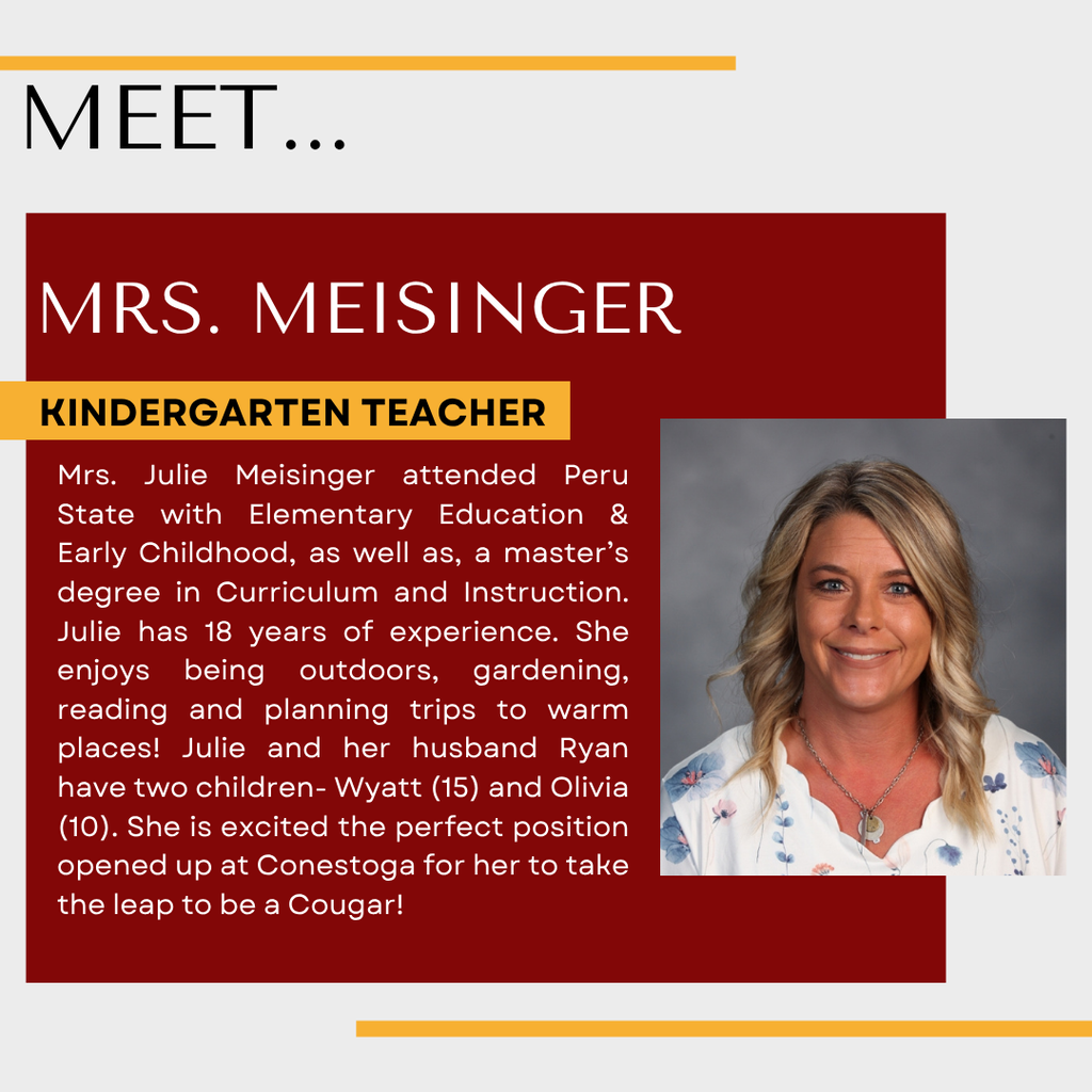 Mrs. Meisinger graphic-image