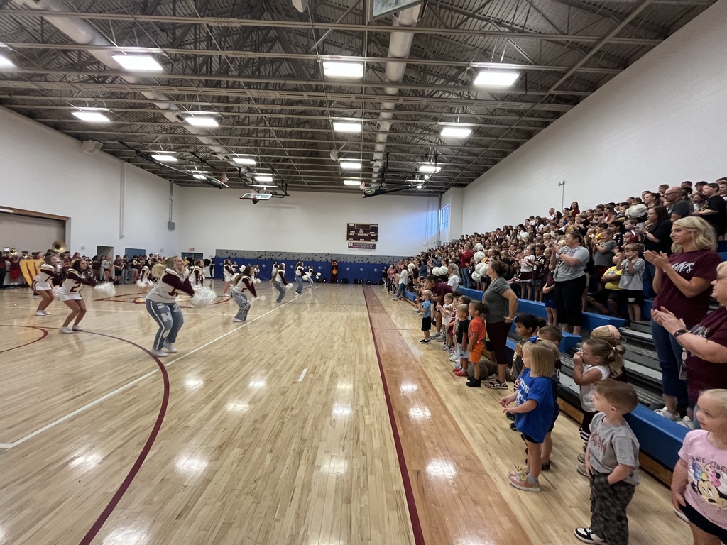 Elementary gym of students 