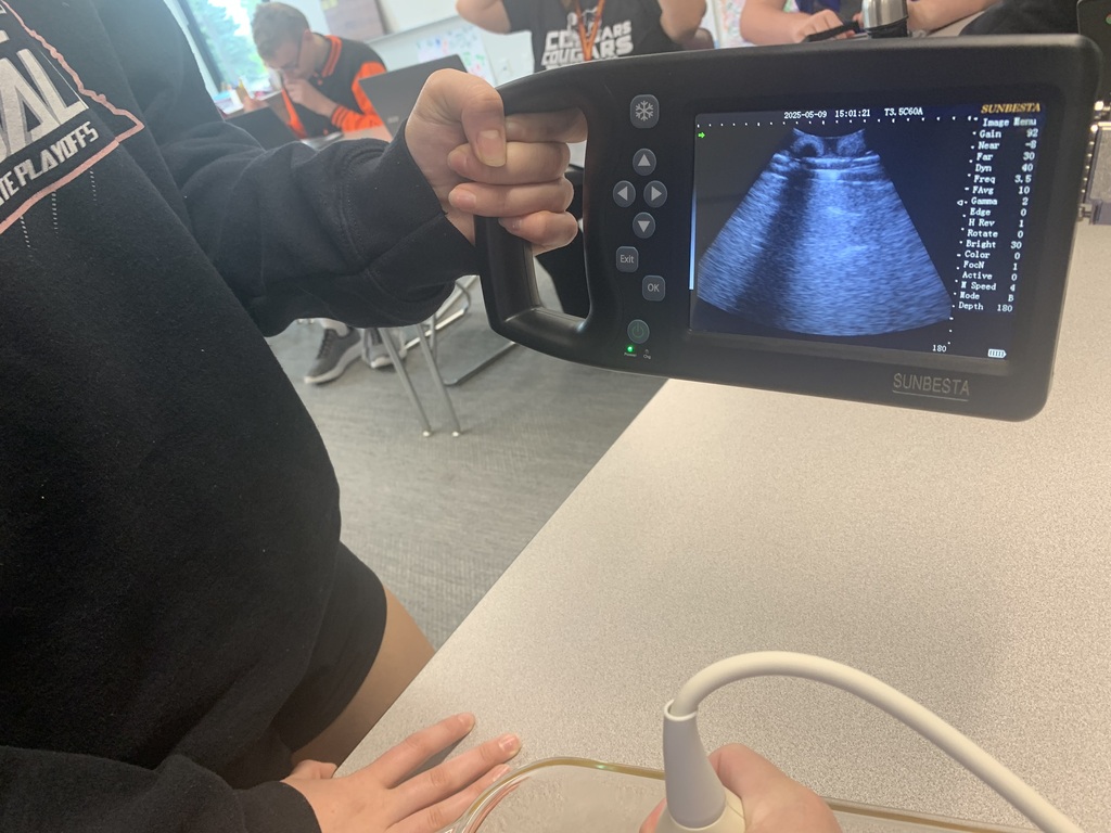 Ultrasound Lab