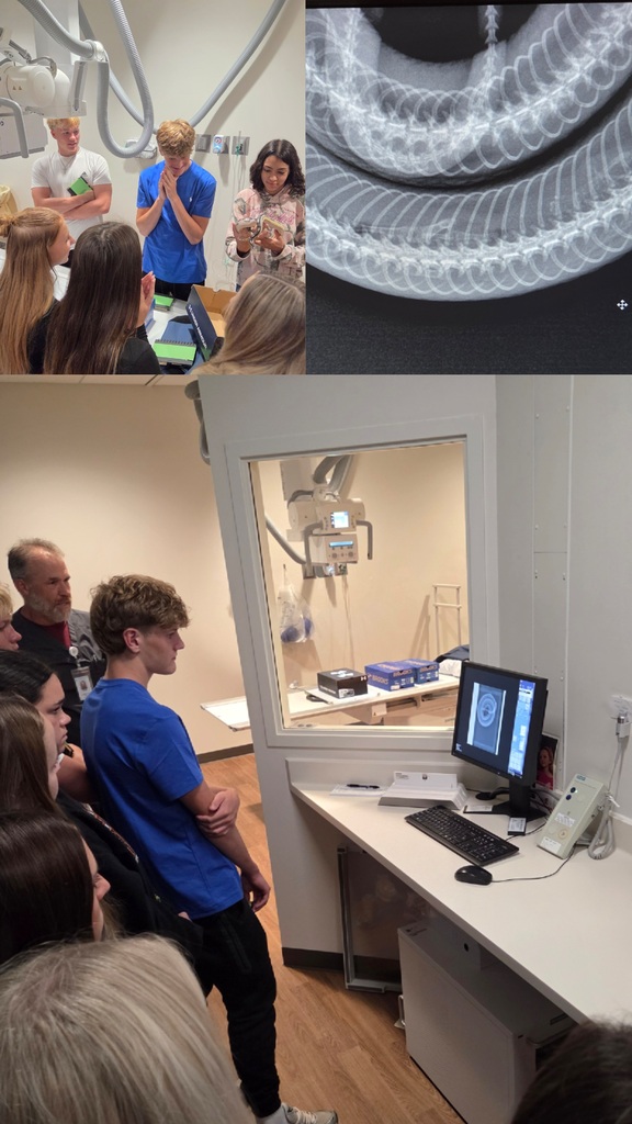 Students learning at hospital