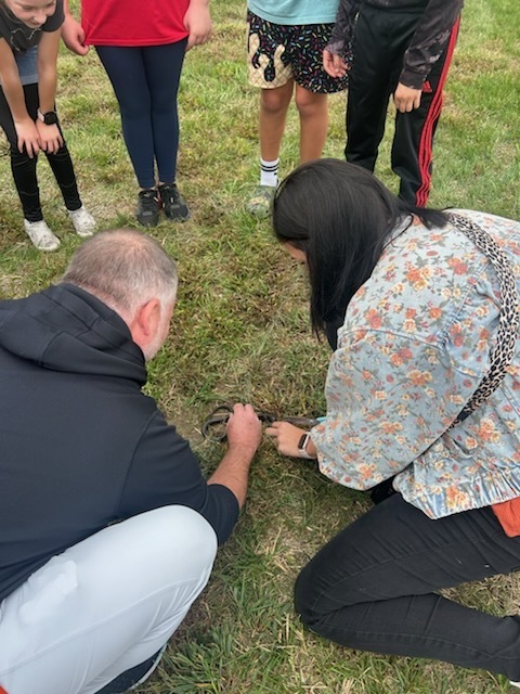 Teachers helping a snake 