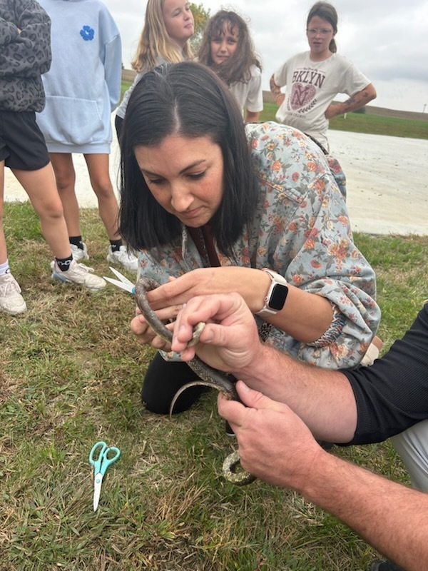 Teachers helping a snake 
