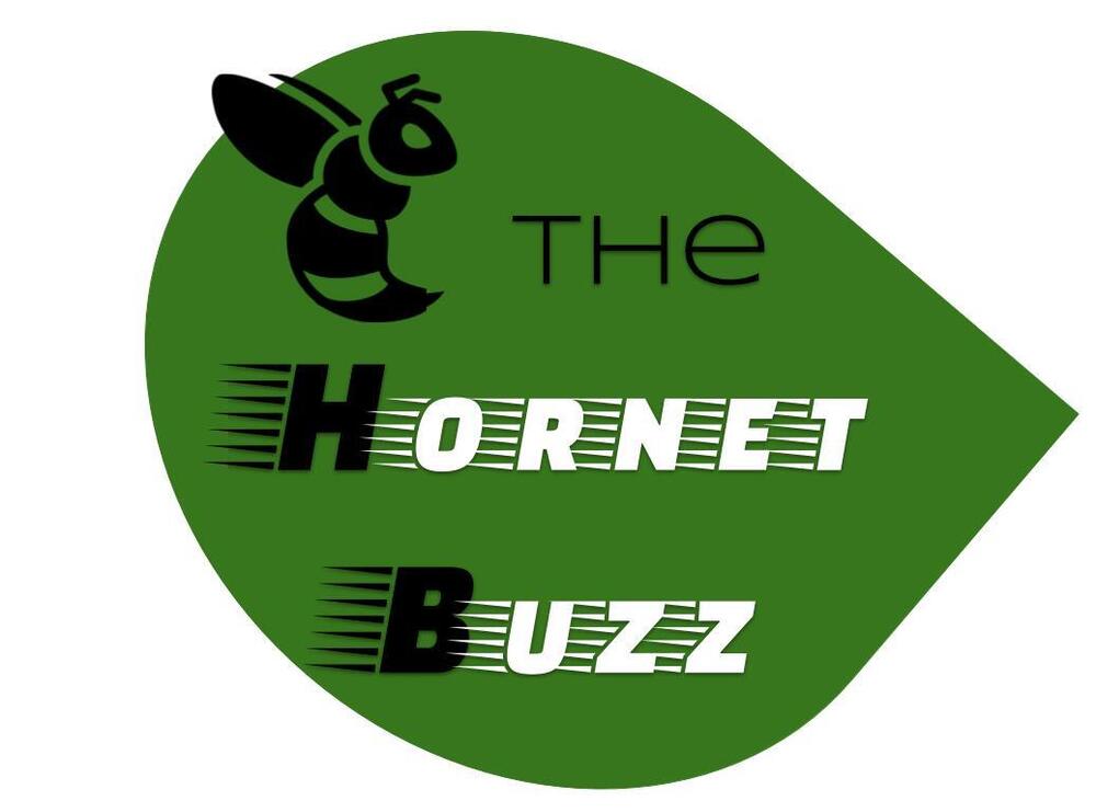 Hornet Buzz