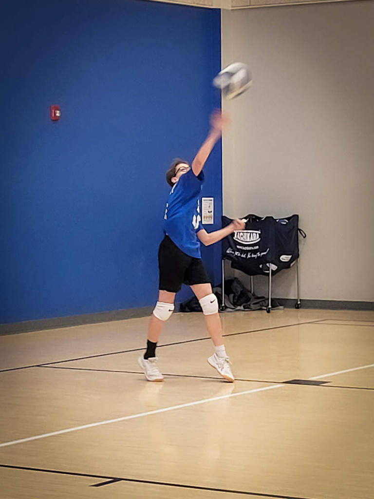 Alpine Volleyball Team