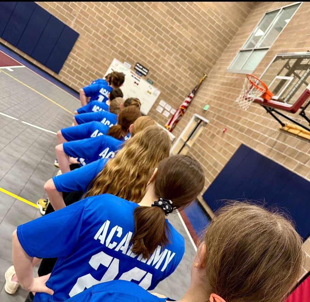 Alpine Volleyball Team