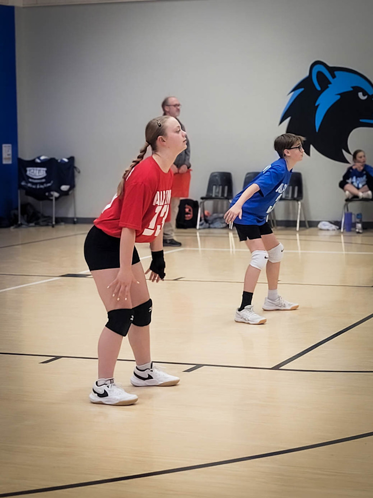 Alpine Volleyball Team
