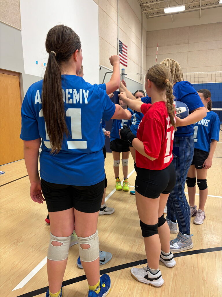 Alpine Volleyball Team