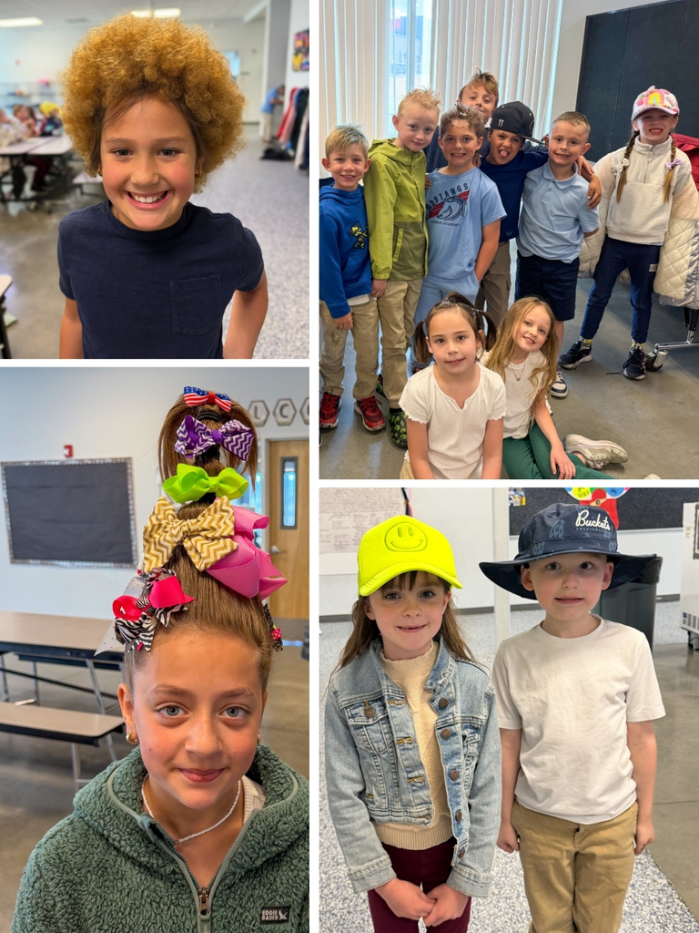 Crazy Hair Day