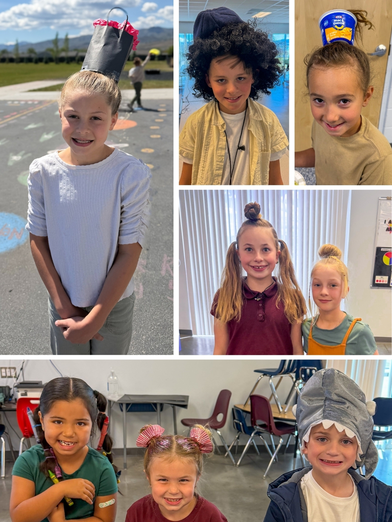 Crazy Hair Day