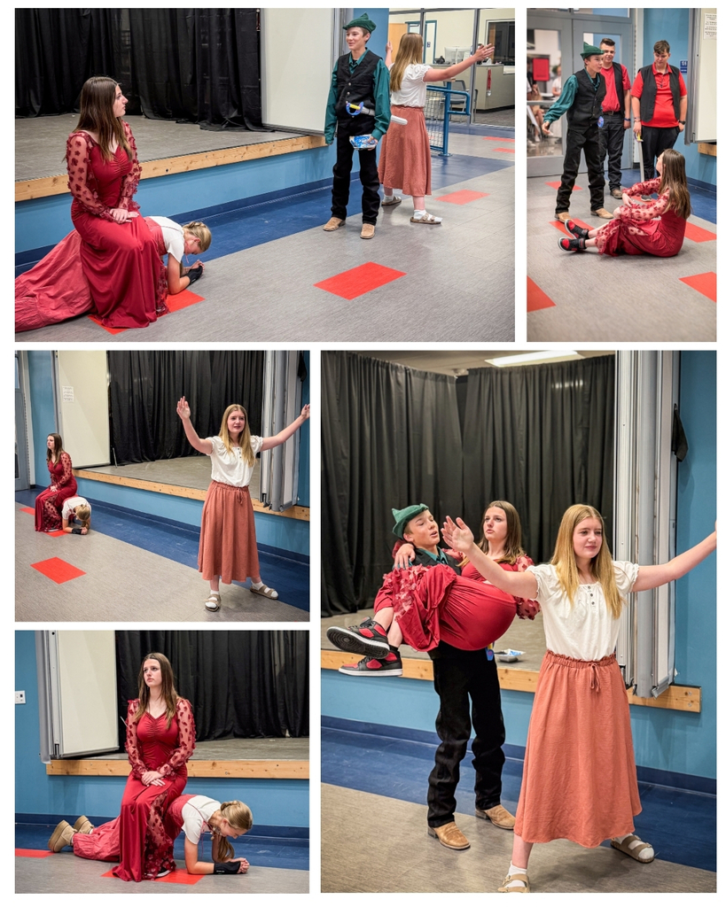 8A Class performed Robin Hood and the Unnecessary Rescue