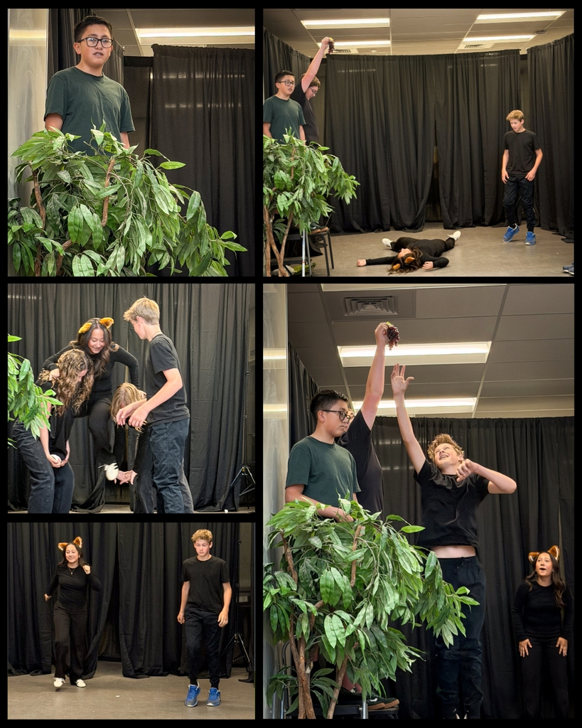 8B Class performed A Tree Called Aesop