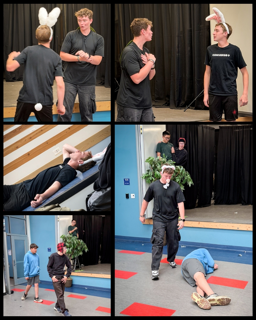8B Class performed A Tree Called Aesop