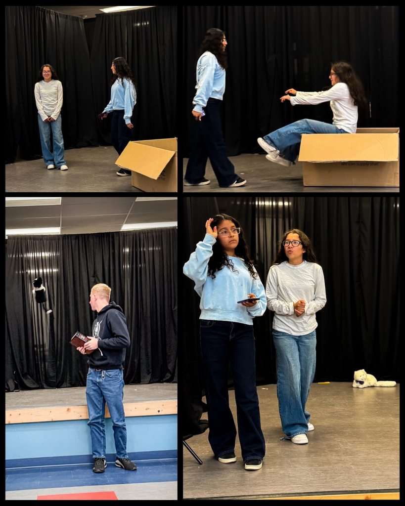 8C Class performed The Poe Plays