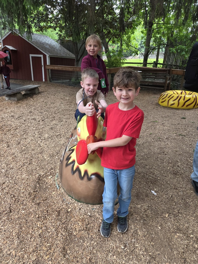 Zoo Field Trip