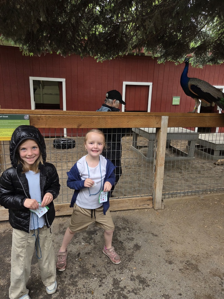 Zoo Field Trip