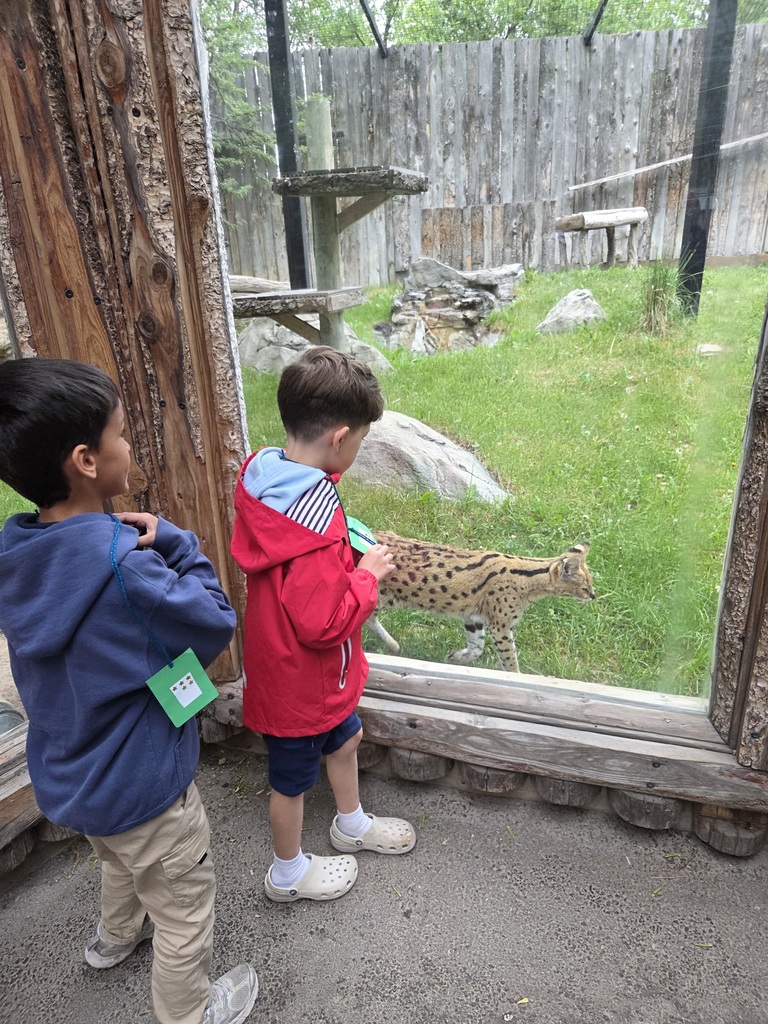 Zoo Field Trip