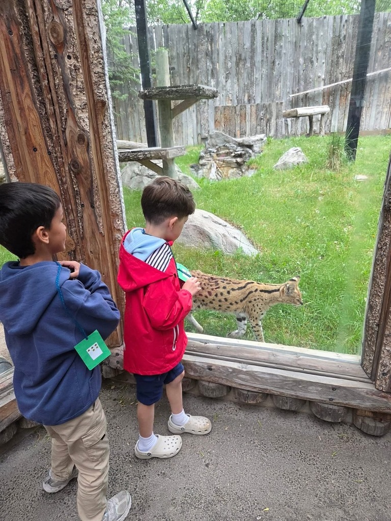zoo field trip