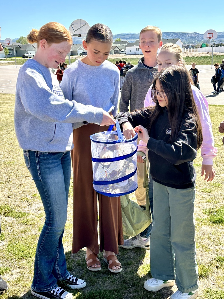 Butterfly release 
