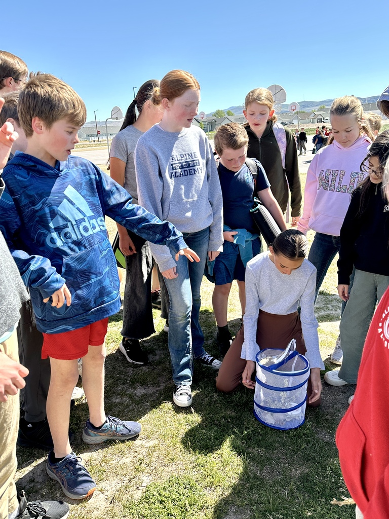 Butterfly release 