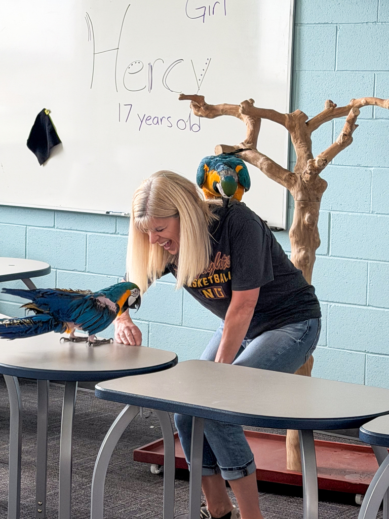 Learning about Blue and Gold Macaw Birds