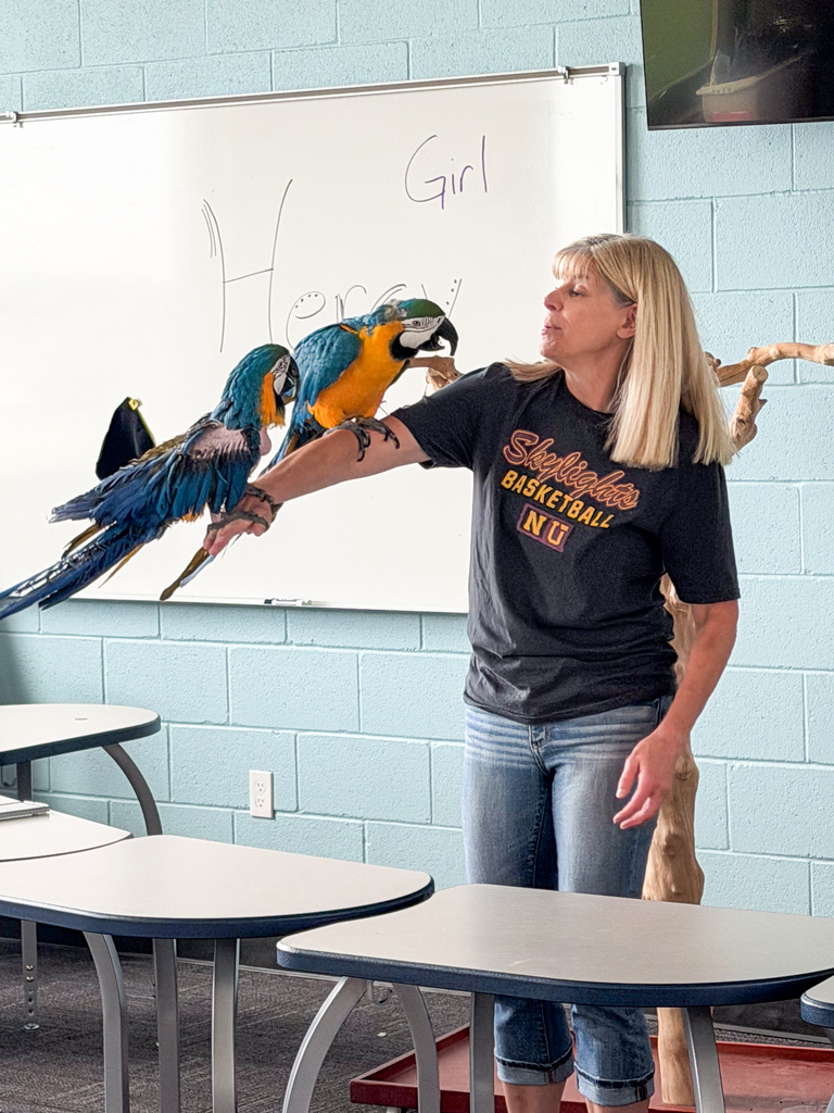 Learning about Blue and Gold Macaw Birds