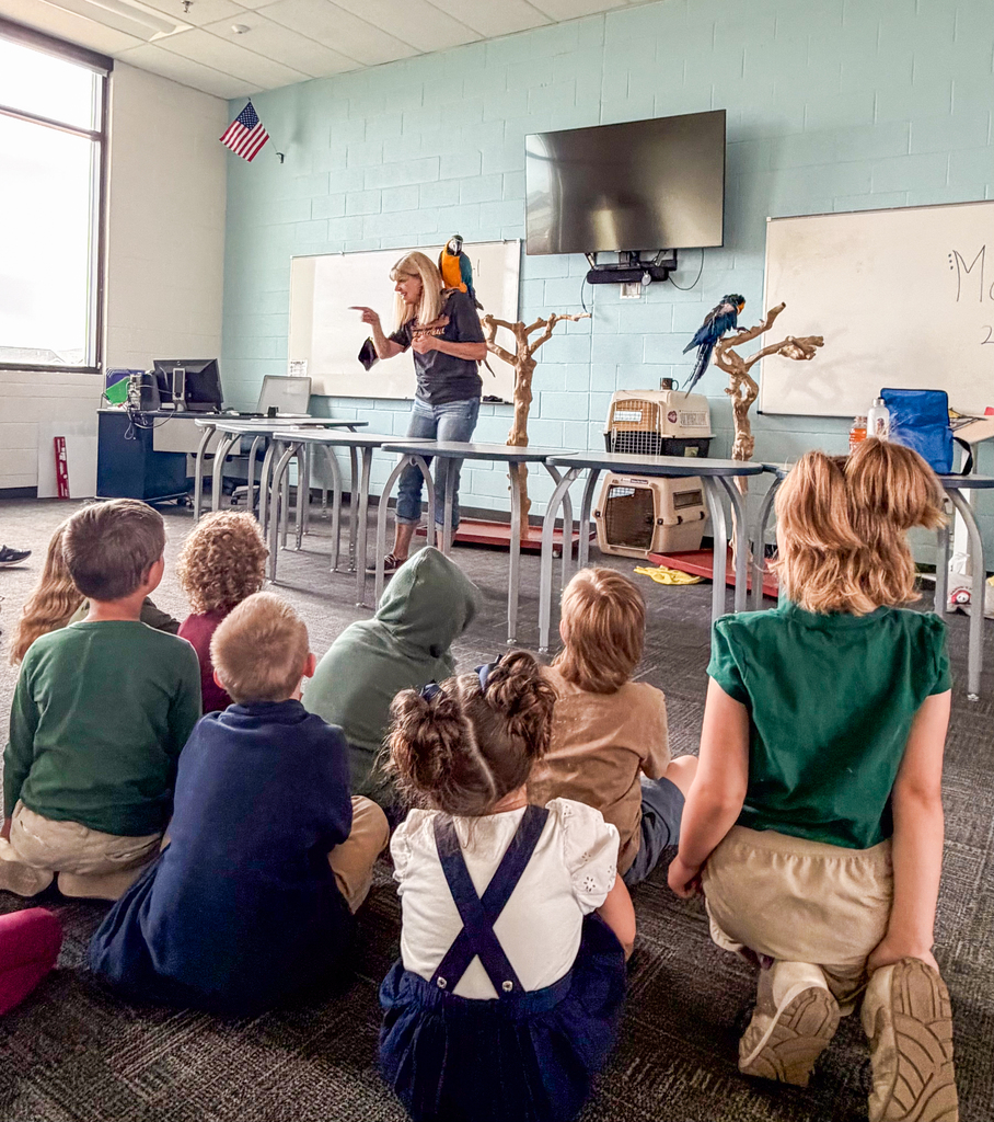 Learning about Blue and Gold Macaw Birds