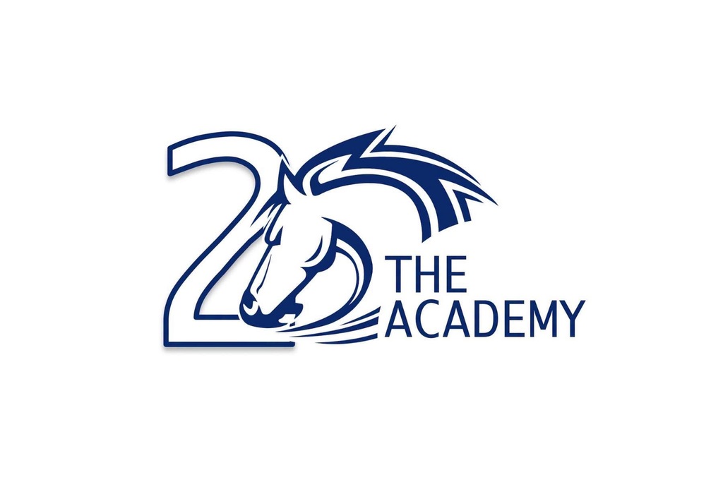20 years logo