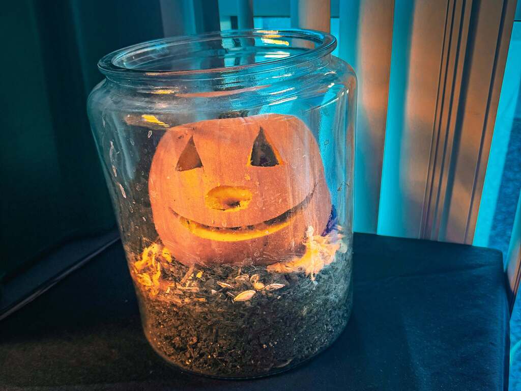 pumpkin jack