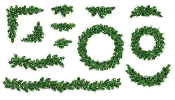 Pine