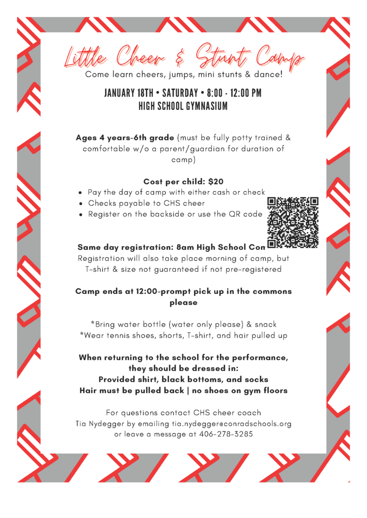 Little Cheer & Stunt Camp