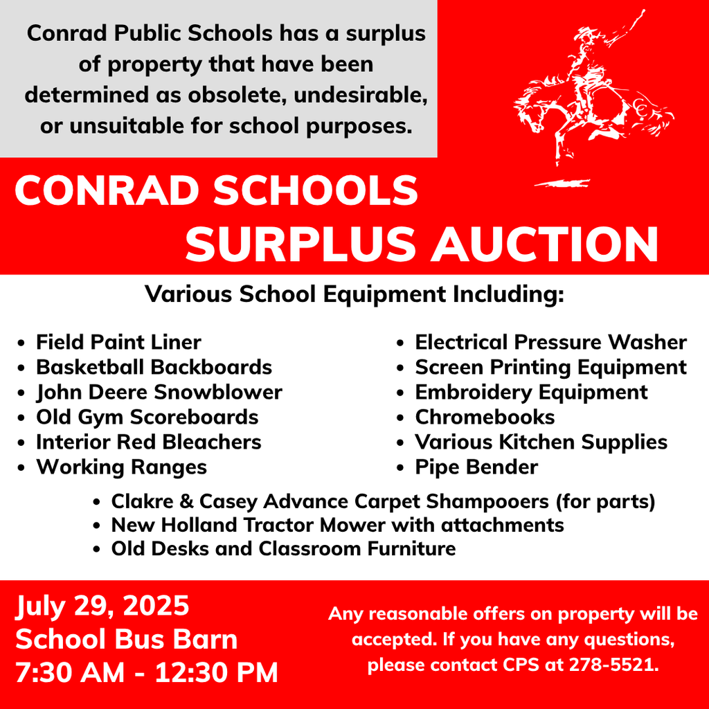 Surplus Auction