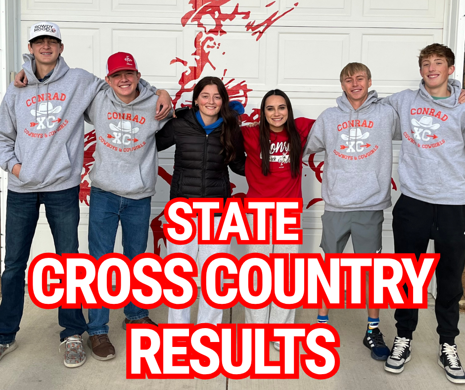 State Cross Country Runners