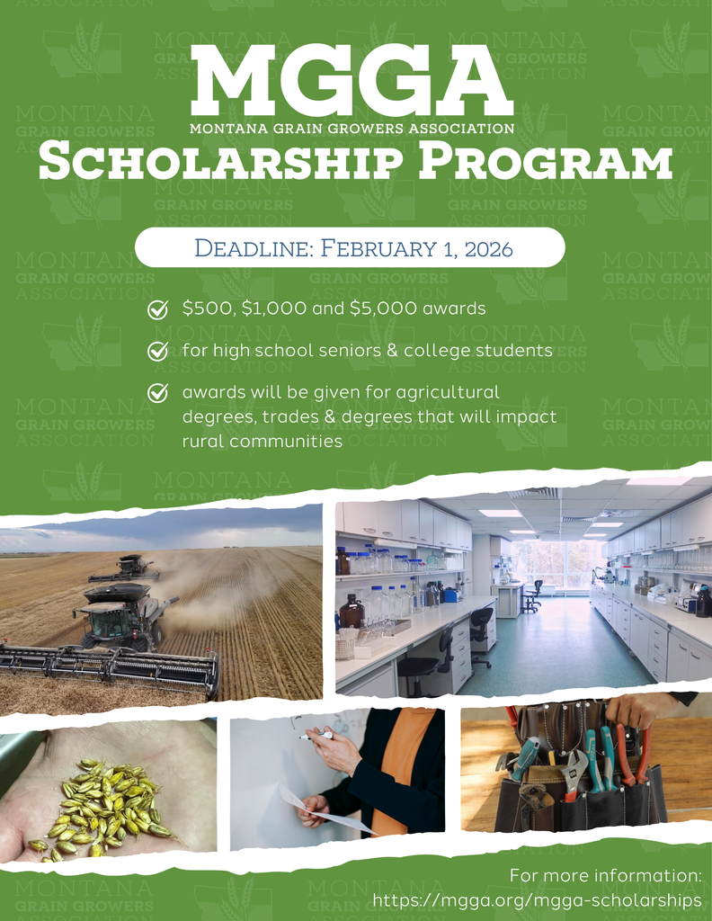 MGGA Scholarship Program
