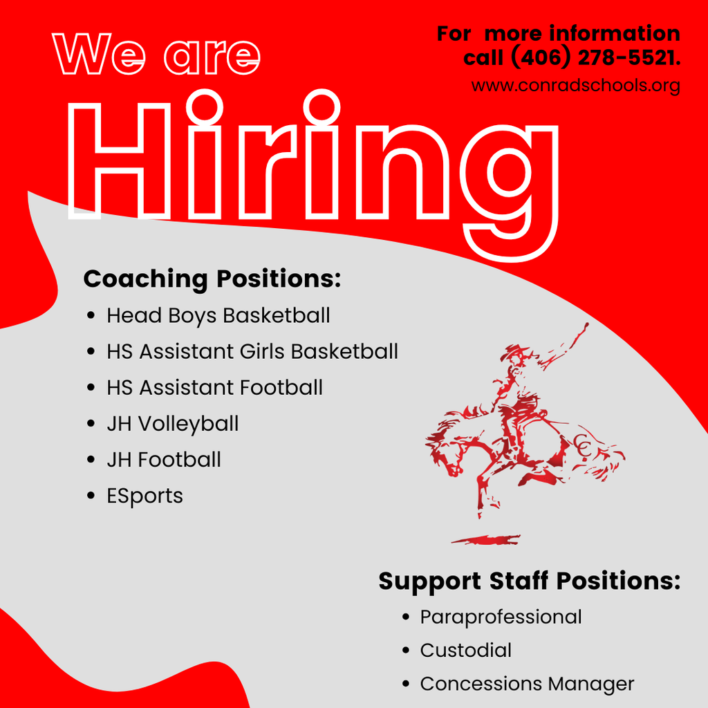 Open Positions