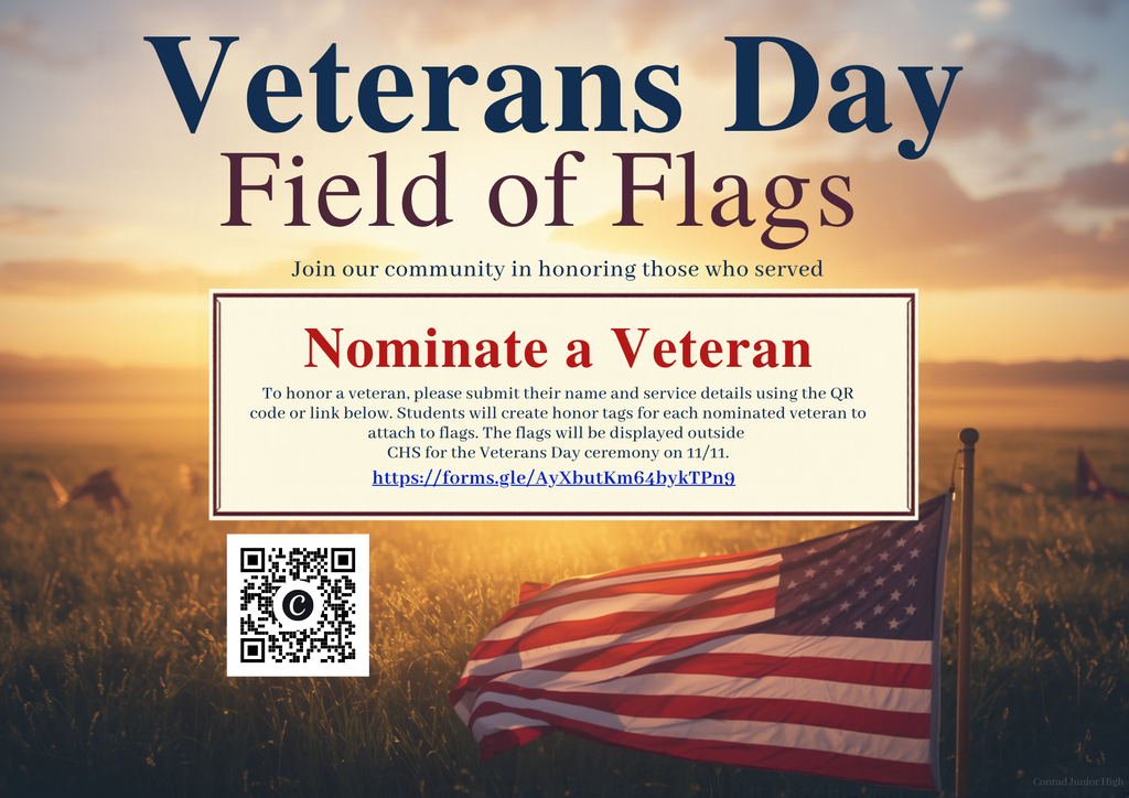 Field of Flags