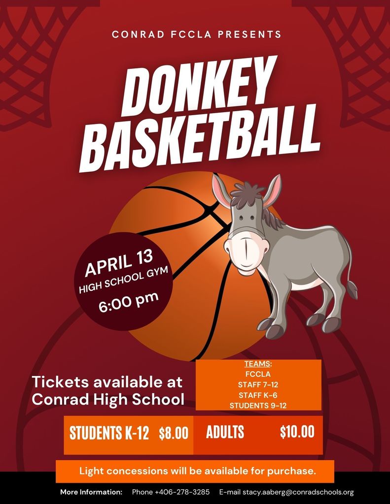 Donkey Basketball