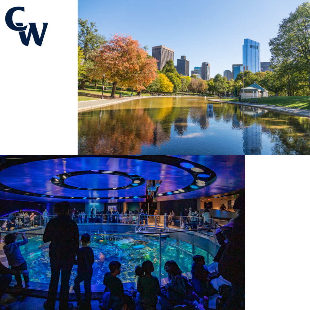 "π¨CURRENT 5TH-8TH GRADE STUDENTS & FAMILY MEMBERSβΌοΈ πJoin us for an informational Zoom meeting on Wednesday, Sept. 17th to learn all about our exclusive trip to Boston in July 2026! π§³πβοΈ Together, we'll explore some amazing, historical sites like: π£The Freedom Trail π’The U.S.S. Constitution πQuincy Market ποΈFaneuil Hall Marketplace ποΈThe Old State House πΊοΈBoston Common π¬The New England Aquarium π§ͺThe Museum of Science ποΈPlimoth Plantation πPrudential Skywalk Observatory ποΈBunker Hill...and more! π
At the meeting, we'll go over the itinerary, accommodations, inclusions and cost. Sign up early to reserve your spot. I can't wait to see you on Zoom on the 17th! If you have any questions, feel free to email us at WeiserScoutsTravel@gmail.com βοΈ @WeiserScoutsTravel #WeiserScoutsTravel #WeAreWeiser"